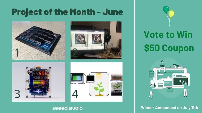 Project of the Month - June (1)