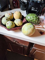 IMG_20250705_122921308_AE