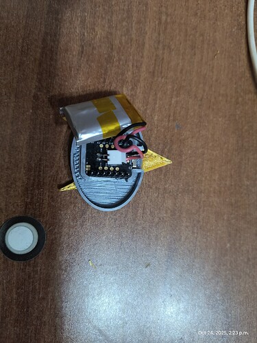 IMG_20251024_142332445