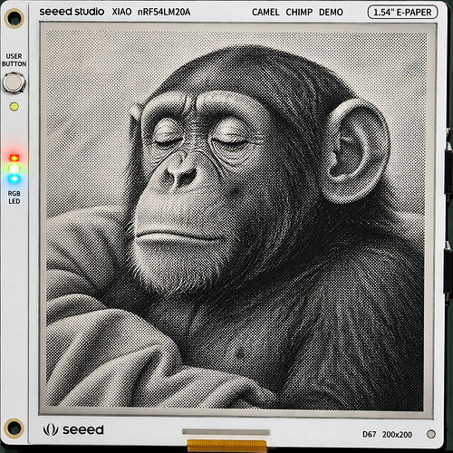 chimp200x200D